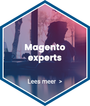 Magento experts
